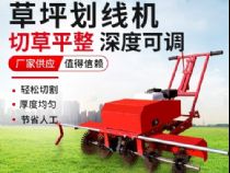 點擊查看詳細信息<br>標題：草皮劃線機 閱讀次數：2659